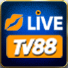 TV88