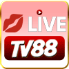 TV88
